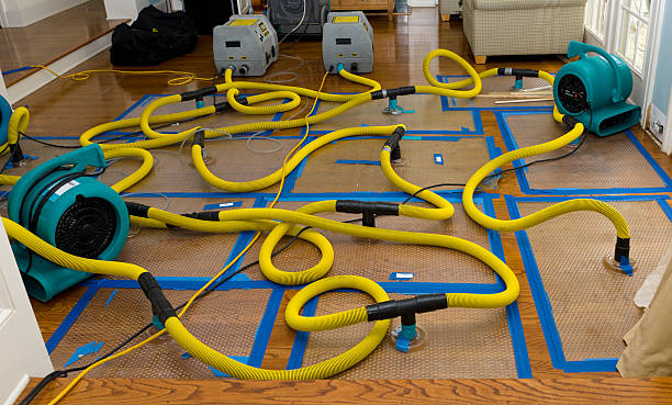 Professional Water Damage Restoration technician working in Somers, IA